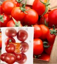 Woolworths-Tomatoes-750g Sale