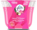 Glade-Scent-Candle-Exoticc-TBloss-224g Sale