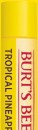 Burts-Bees-Lip-Balm-Tropical-Pineapple-425g Sale
