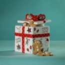 Christmas-Wishes-Christmas-Present-Ceramic-Box Sale