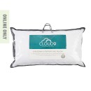 Cloud-9-595-Down-Feather-King-Pillow Sale