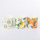 Citronella-Candle-Set-of-3 Sale