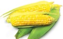 Sweetcorn Sale