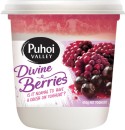 Puhoi-Valley-Yoghurt-Tub-Devine-Berries-450g Sale