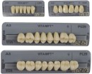 VITA-MFT-Anterior-Posterior-Teeth Sale