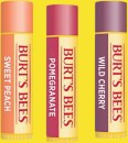 Burts-Bees-Fruity-Lips Sale