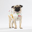 bbb-Pets-Breakfast-Club-Hoodie Sale