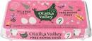 Otaika-Valley-Free-Range-Size-7-Eggs-18-Pack Sale