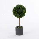 Tuscany-Ball-Topiary Sale
