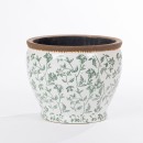 Aphena-Planter Sale