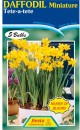 Daffodil-Tete-a-Tete-5-Bulbs Sale