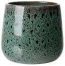 Calathea-Medallion-in-Northcote-Pottery-Virgo-18cm-Pot-in-Forest Sale