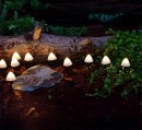 Mini-Mushroom-Solar-Lights-18m Sale