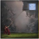 Raye-This-Music-May-Contain-Hope-CD Sale