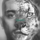 Zayn-Konnakol-CD Sale