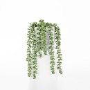 Potted-Strand-of-Beads Sale