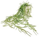 Un-Real-Green-Hoya-Linearis-55cm-Artificial-Plant Sale
