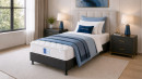 Rest-Restore-Chiro-Sleep-King-Single-Bed Sale