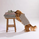 Remmy-Stripe-Pet-Towels Sale