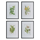 NEW-Black-Framed-Botanical-Fern-Wall-Art Sale