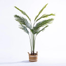 Archer-Palm-170cm Sale