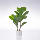 Cora-Fiddle-Leaf-40cm Sale