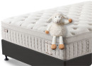 Pure-Rest-Queen-Bed Sale