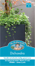 Mr-Fothergills-Dichondra-Seeds Sale