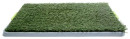 Happy-Tails-Puppy-Training-Grass Sale
