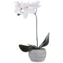 Real-Touch-Orchid Sale