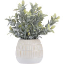 Potted-Plant Sale