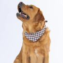bbb-Pet-Bandana Sale