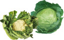 Whole-Cauliflower-or-Whole-Green-Cabbage Sale