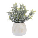 Potted-Plant Sale