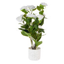 Tilly-Camellia-50cm-Artificial-Plant Sale