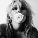 Miley-Bass-Persuades-CD Sale