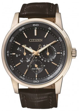 Citizen+Mens+Watch