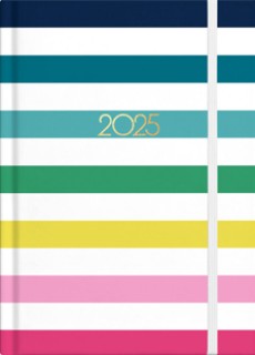 NEW-Stripe-2025-Diary on sale