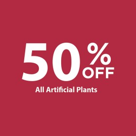 50-off-All-Artificial-Plants on sale