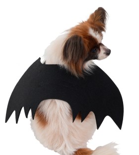 Spooky+Hollow+Pet+Costume+Bat+Wings