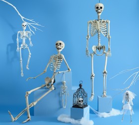 Spooky+Hollow+Skeletons+Bodies