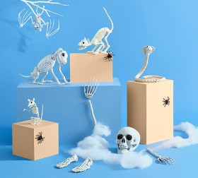 Spooky-Hollow-Skeleton-Animals on sale