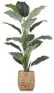 30%25+off+NEW+Bouclair+Large+Potted+Plant%2C+122cm