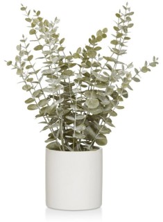 Bouclair-Tall-Privet on sale