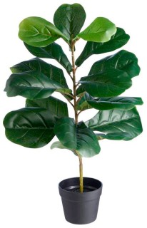 Botanica-Fiddle-Leaf-75cm on sale