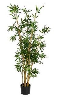 Botanica-Bamboo-with-Pot-153cm on sale