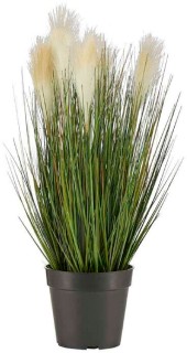 Botanica-Bulrush-in-Pot-56cm on sale