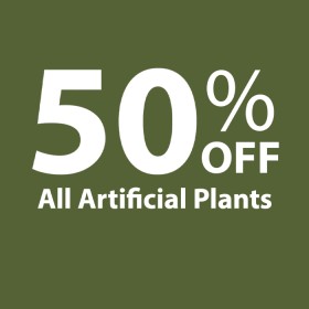 50-off-All-Artificial-Plants on sale