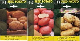 Seed+Potato+10+Pack