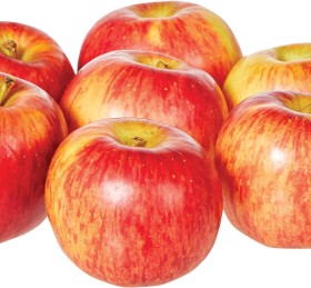 Loose-Ambrosia-Apples on sale